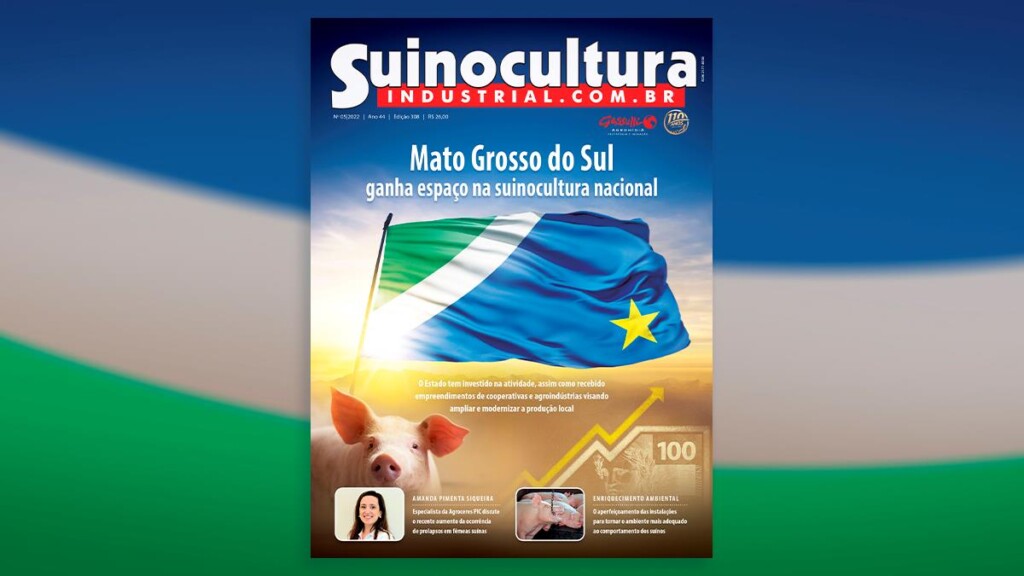 Mato Grosso do Sul avança na suinocultura: está no ar a nova edição da Suinocultura Industrial