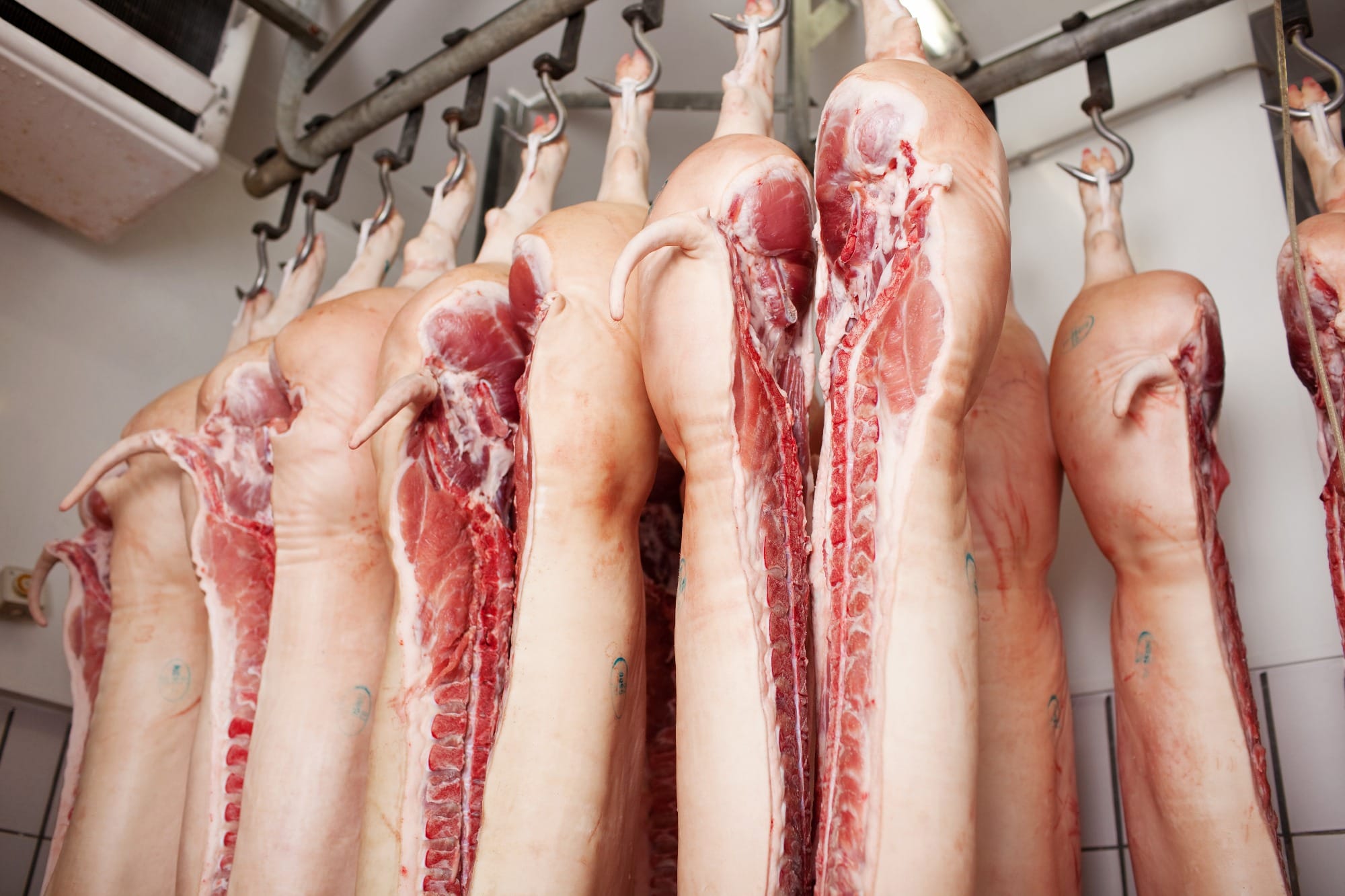 Governo de Minas fomenta política de exportação de carne suína
