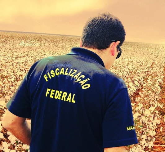 Avicultura e suinocultura não sofrem com paralisação dos fiscais agropecuários