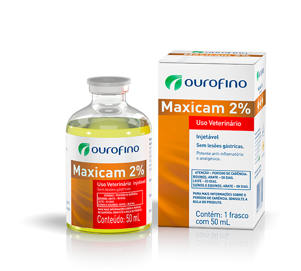 Medicamento oferece maior conforto para suínos no manejo