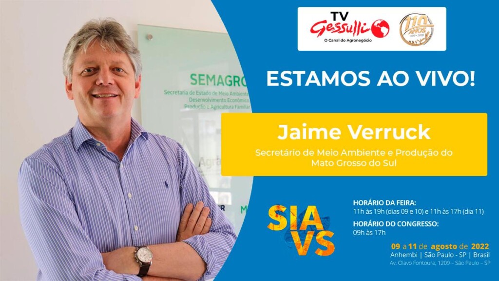 MS deve receber investimentos próximos de R$ 1 bi só na suinocultura