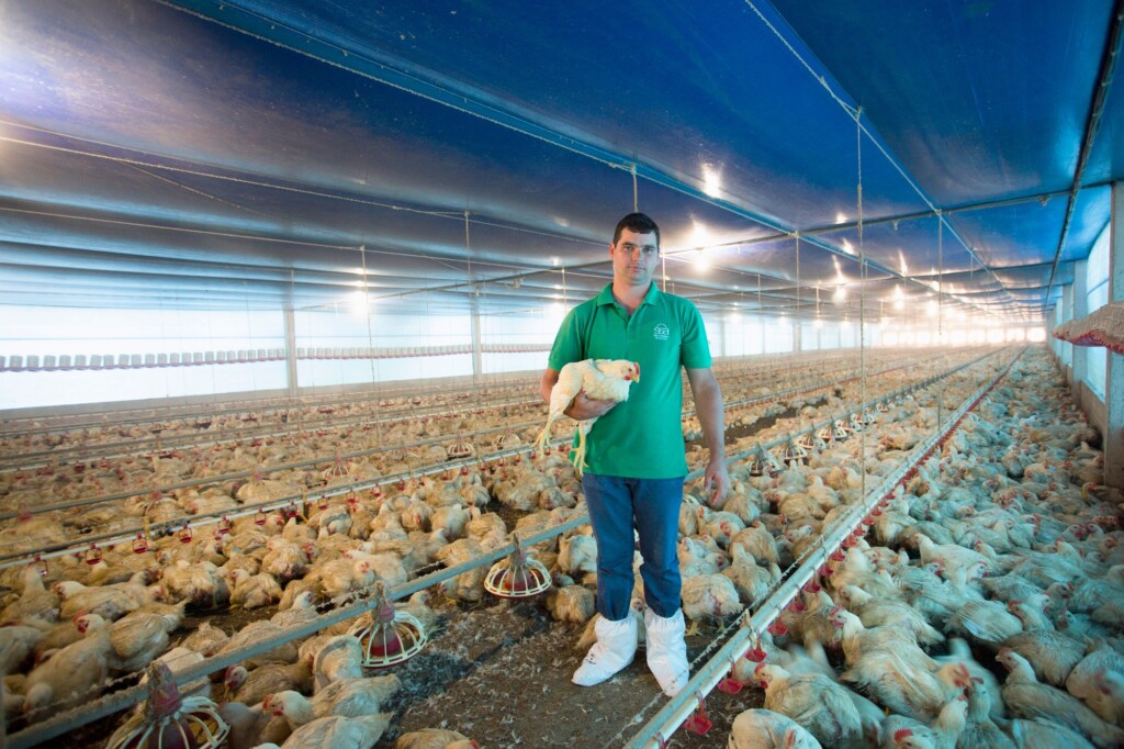 Mobilidade confere maior eficiência aos processos em produção avícola