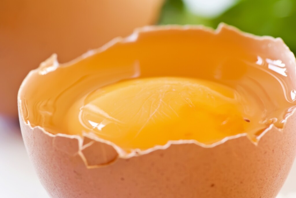 Ovo: o grande aliado da alimentação infantil saudável