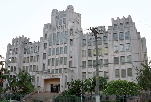 Instituto Biológico possui único laboratório do país para diagnóstico de brucelose e tuberculose