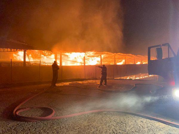 Incêndio destrói aviário com 90 mil aves em Santa Maria de Jetibá