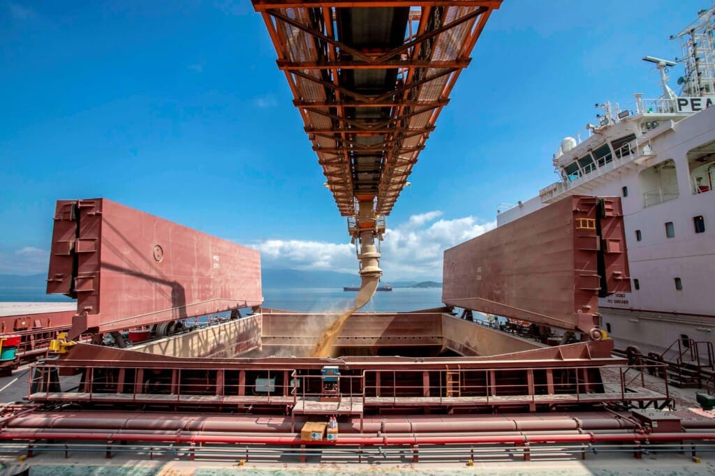 Plantio de soja é finalizado na Argentina; 96,5% do milho foi semeado