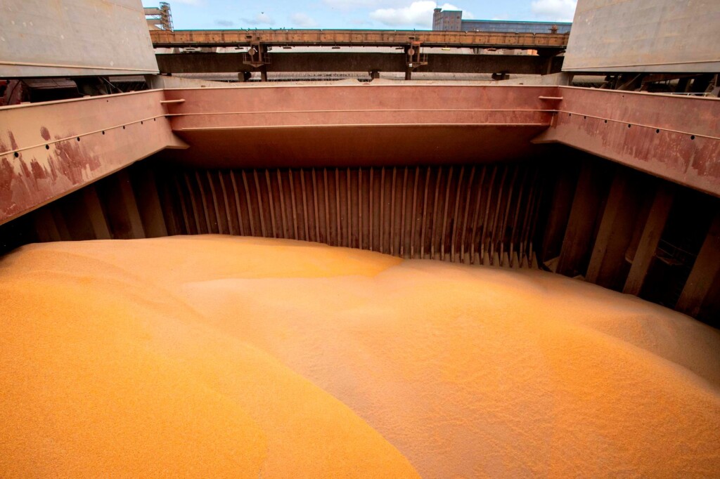 Conab contrata transporte para remoção de 12,3 mil toneladas de milho