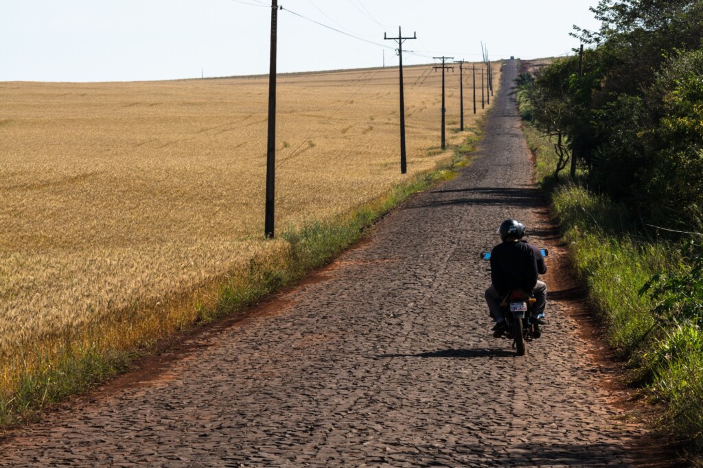 Paraná investe R$ 121,8 milhões em agricultura