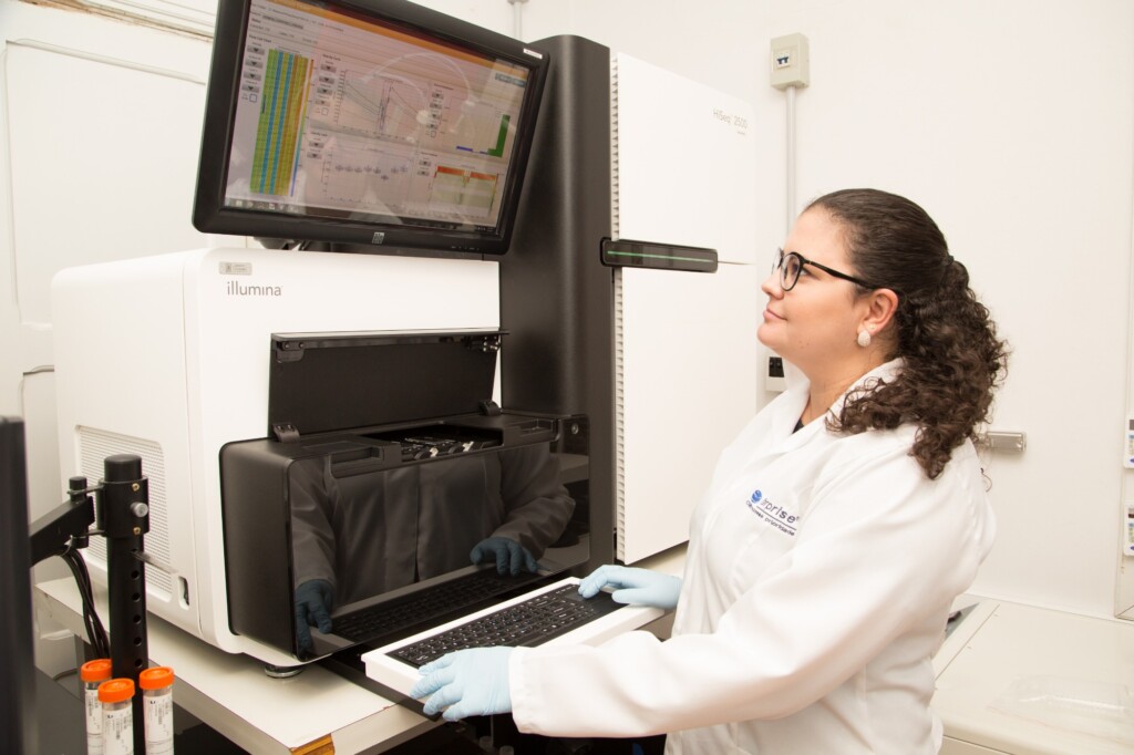 Estudo aprimora variabilidade genética de galinha