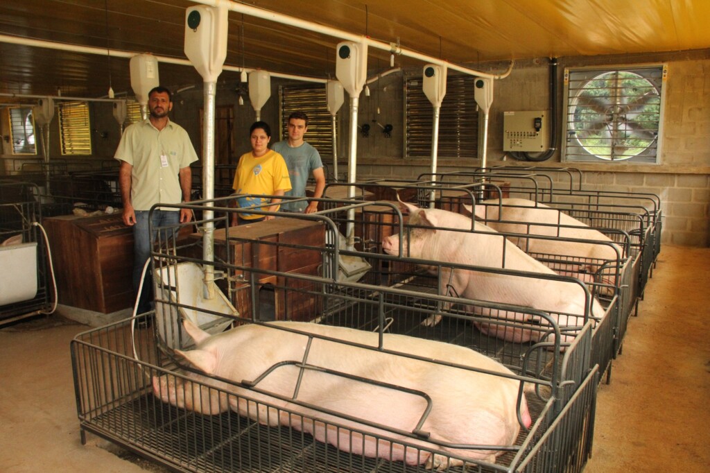 O exemplo da Cooperalfa