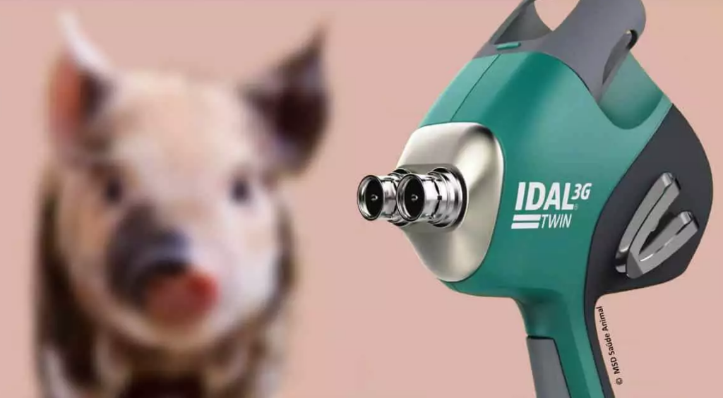 Vacinação de Precisão sem agulhas na produção de Suínos na AveSui Online 2021