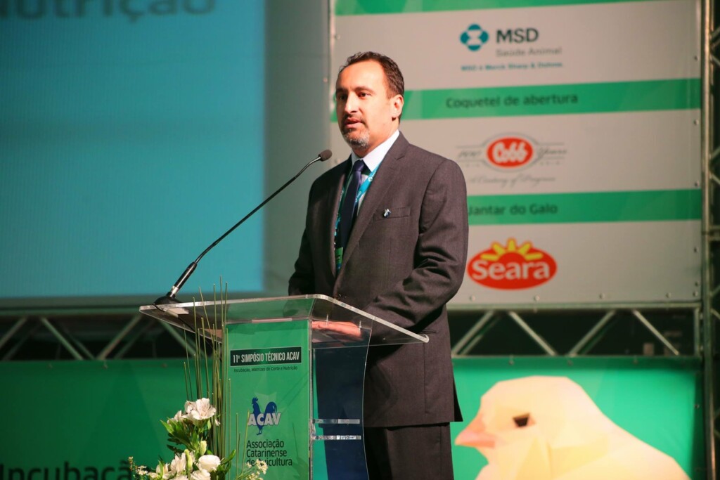 SC terá a 1ª compartimentação da avicultura de corte do Brasil e do Mundo