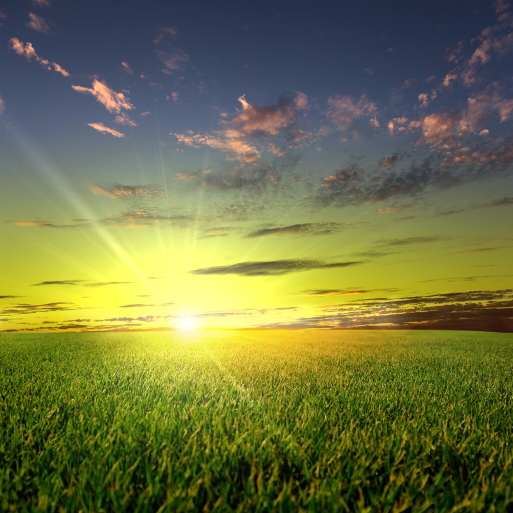 Problemas climáticos contribuem para a retração do PIB Agropecuário