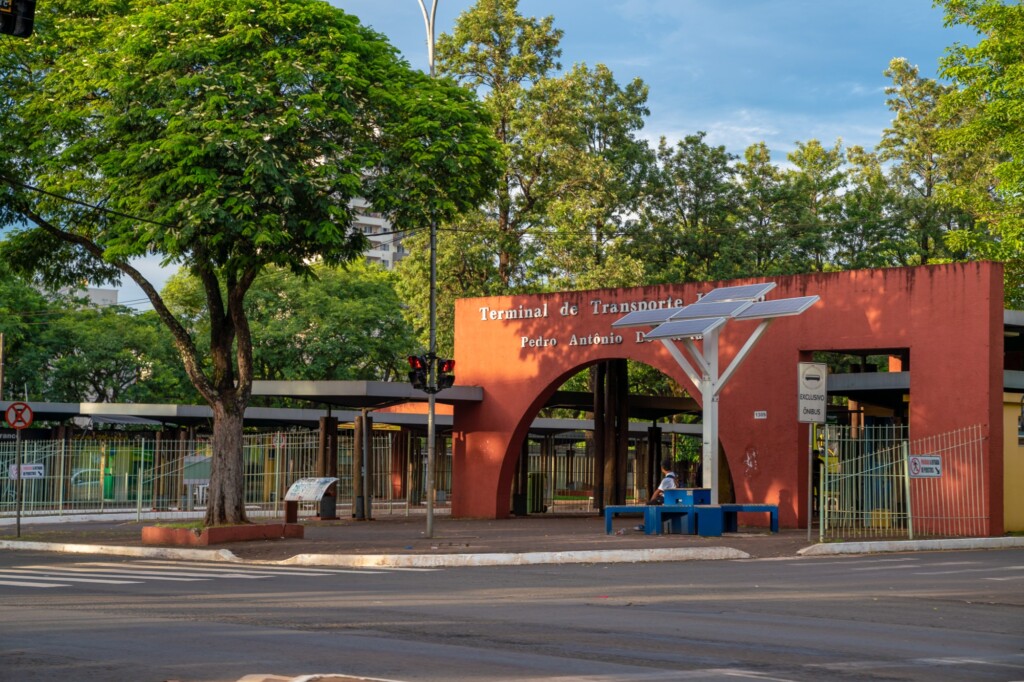 Árvores Digitais Solares já somam mais de 170 mil acessos à internet