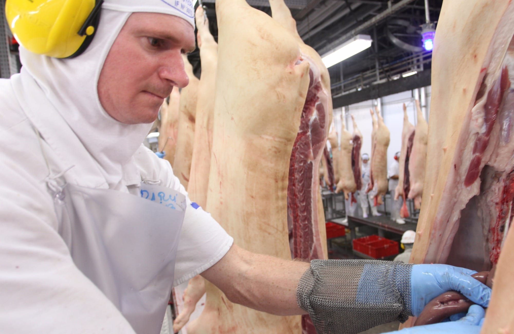 ABCS confirma participação em painel processamento de carnes