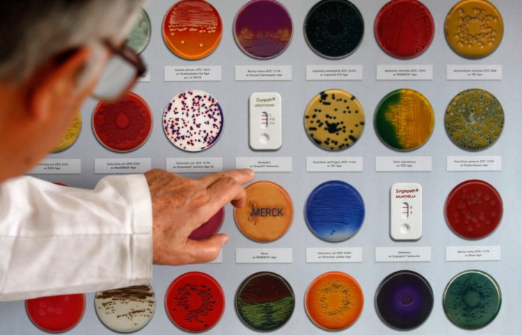 Portaria do MAPA promove emprego racional de medicamentos em alimentação animal