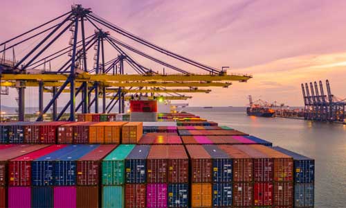 Japão suspende importação de aves do Espírito Santo devido à gripe aviária