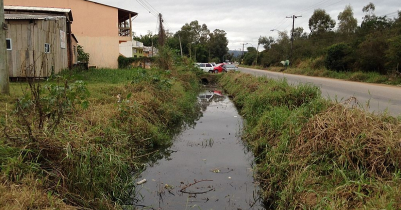 Algas são usadas para despoluir esgoto e produzir adubo