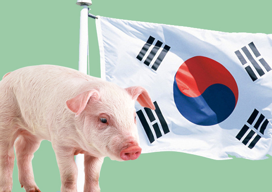 Setor comemora abertura da Coreia do Sul à carne suína