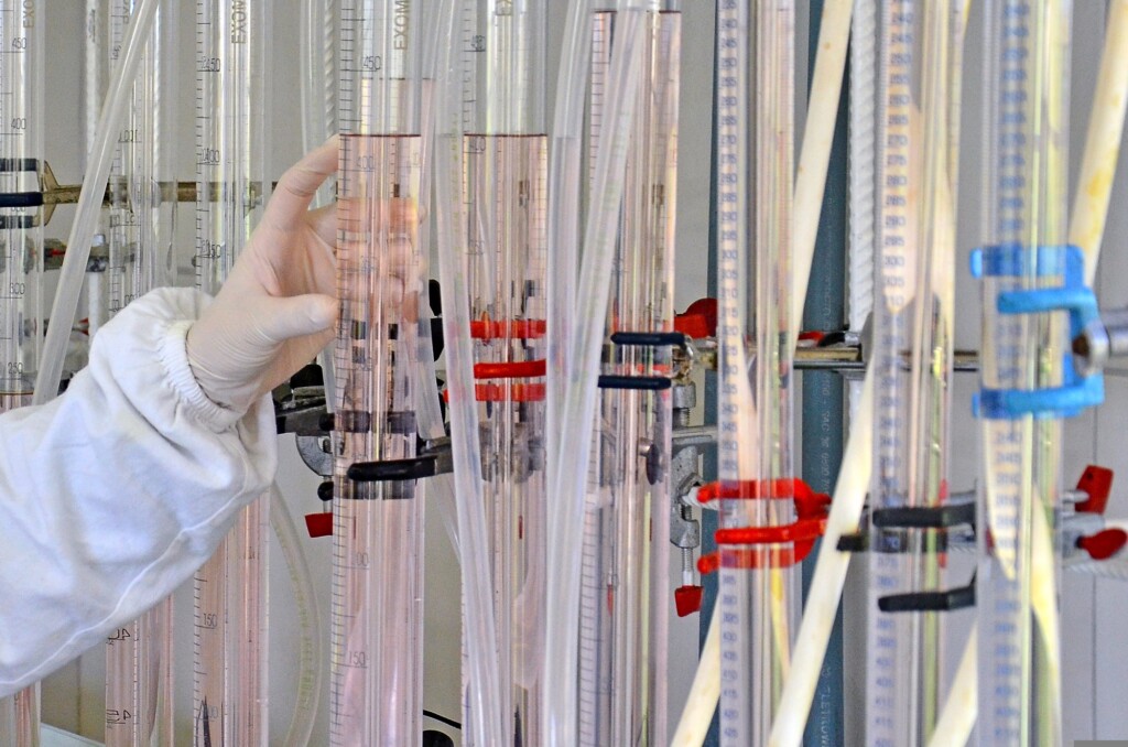 Projeto propõe plano para produção de energia a partir de dejetos suínos em SC