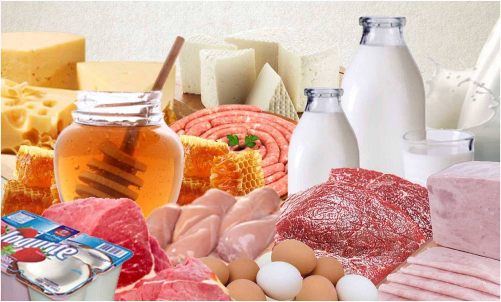 Evento debate sobre questões regulatórias e tendências de consumo