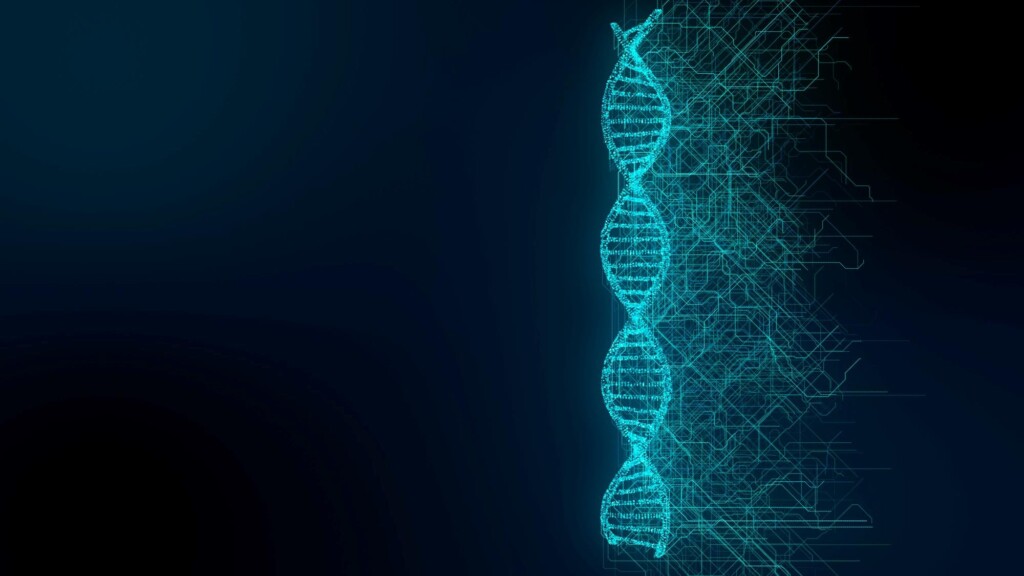 Genética avícola evoluiu, elevando patamares produtivos com agregação de novos ganhos de eficiência no campo