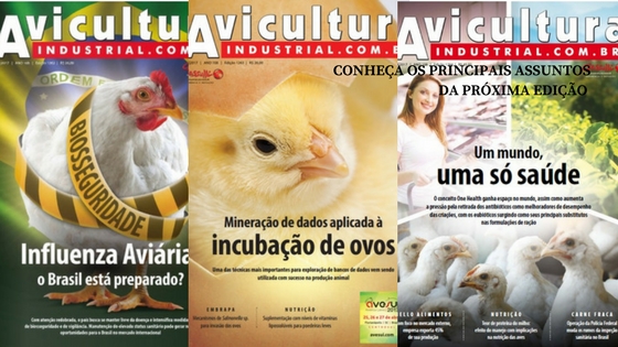 Confira as principais pautas da edição nº 1266