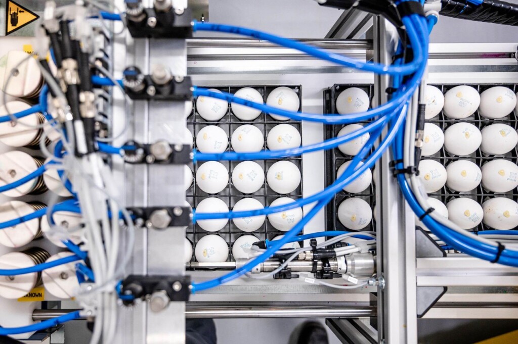 Evonik faz investimento complementar na In Ovo em apoio ao lançamento da máquina para teste de  sexagem em ovos