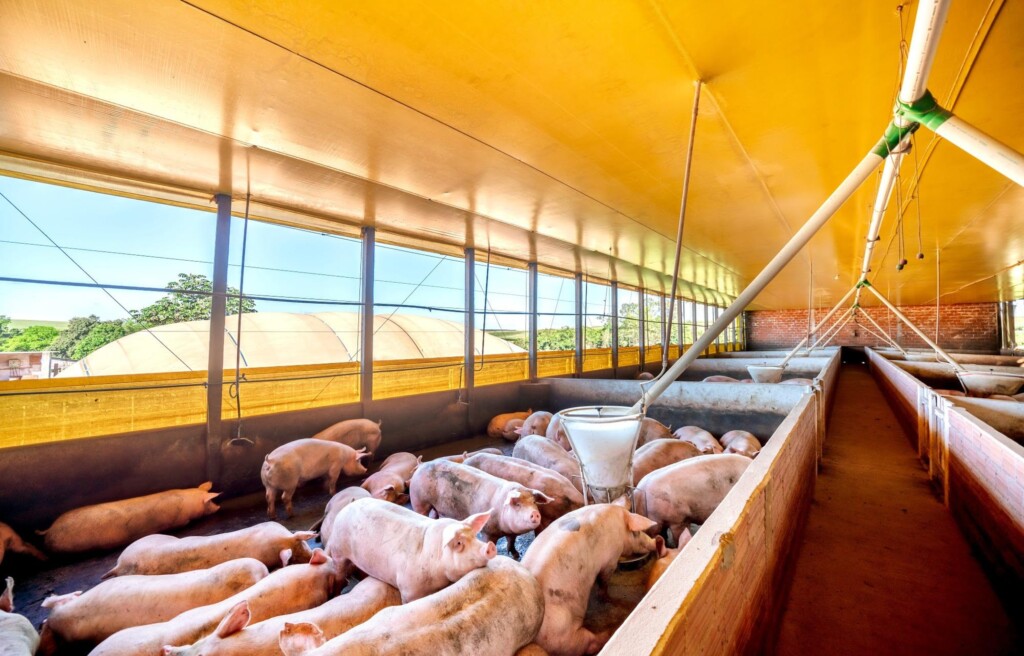 Copel e Itaipu colocam microrrede em operação no Oeste do PR