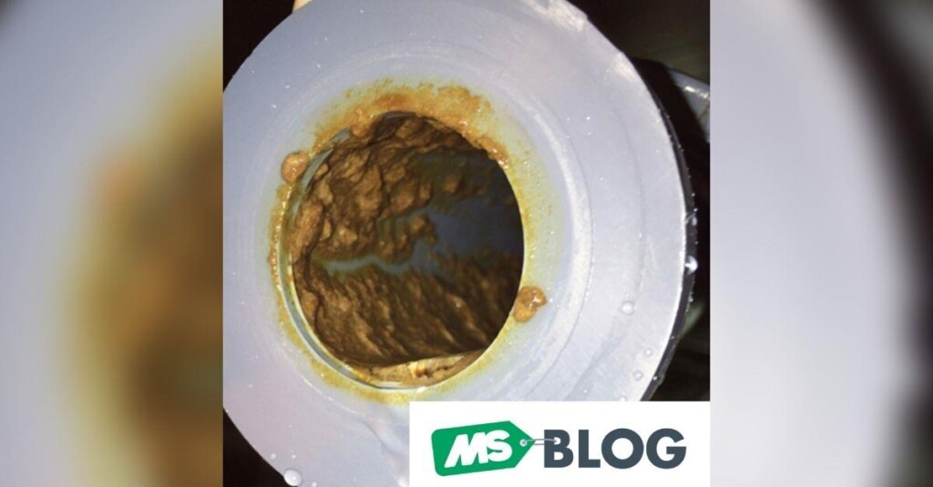 Traduzindo o BIOFILME em poucas palavras…