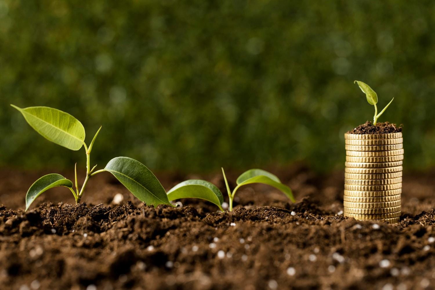 Governo ajusta distribuição de limites equalizáveis no Plano Safra 2022/2023 Governo ajusta distribuição de limites equalizáveis no Plano Safra 2022/2023