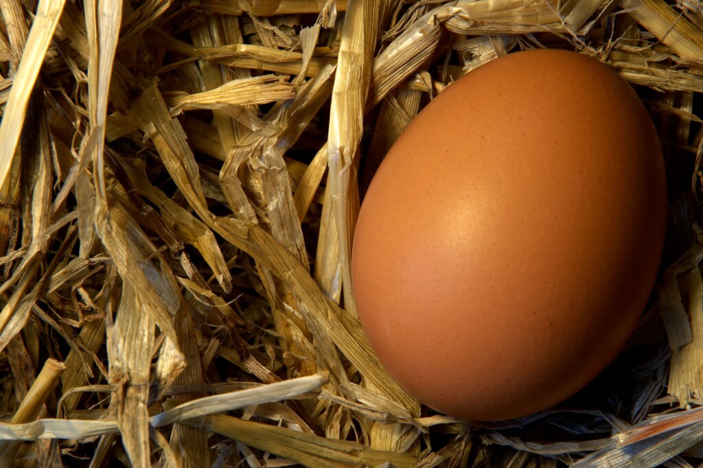 Tem início a Semana do Ovo