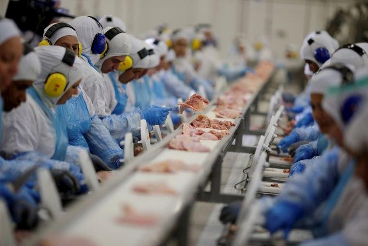 Exportações de carne de frango alcançam 429,6 mil toneladas em maio