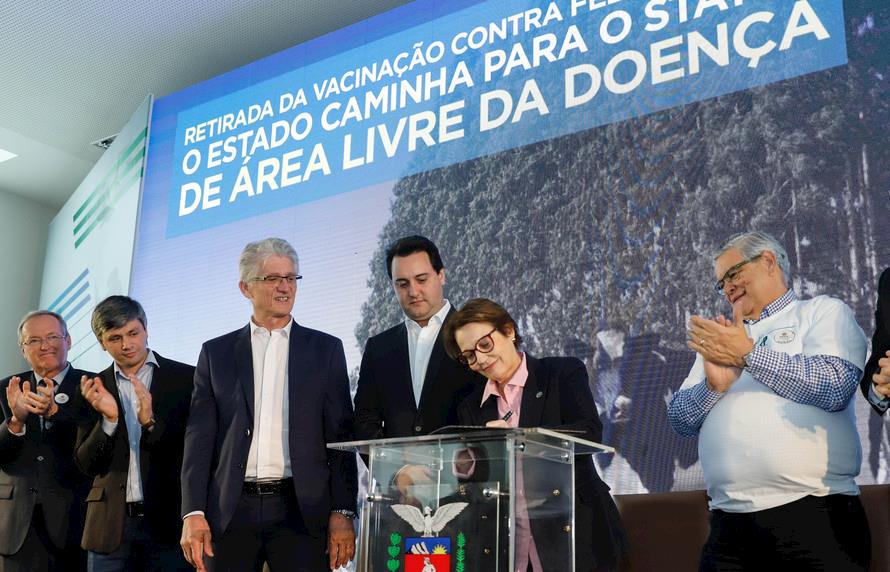 Paraná suspende vacinação contra a febre aftosa