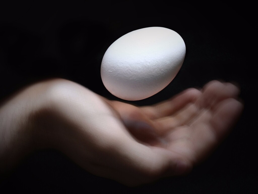 Cientistas criam ovos com medicamentos para tratar o câncer