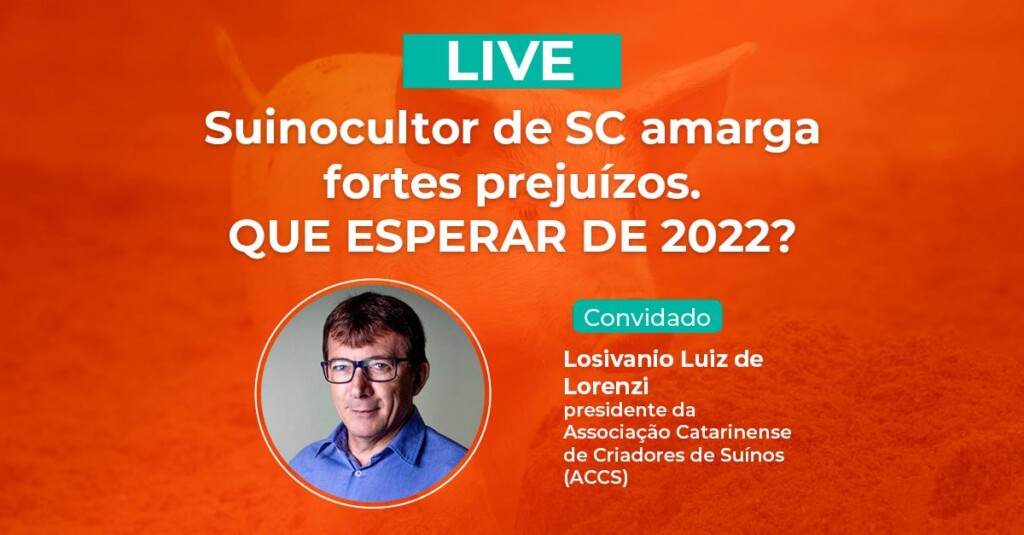 Suinocultor de SC amarga fortes prejuízos. Que esperar de 2022?