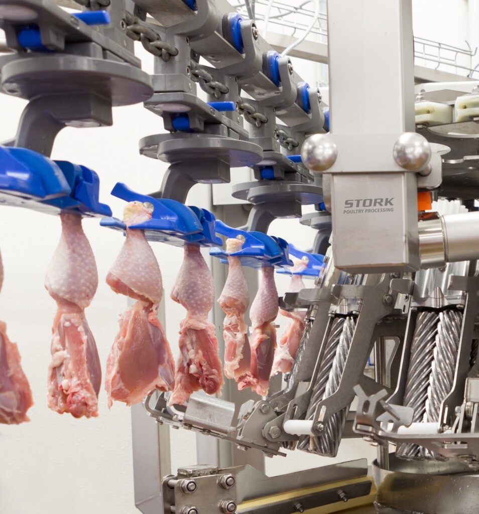 Agregando valor à carne da perna de frango