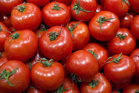 Cientistas geram energia com tomates que iriam para o lixo