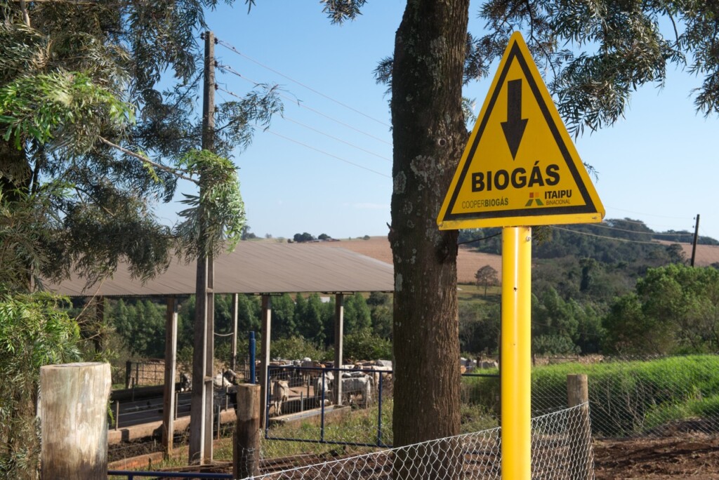 Asemg realiza nova edição do Encontro da Suinocultura Mineira