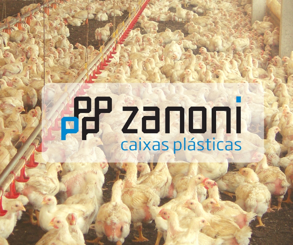 Zanoni: Caixas para transporte de aves e frigoríficos