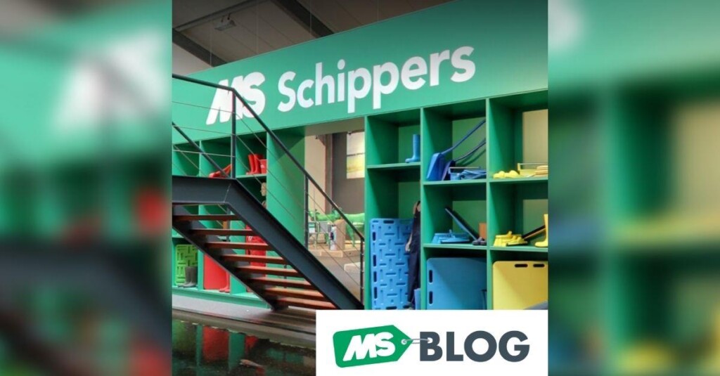 O que é o sistema de cores Schippers?