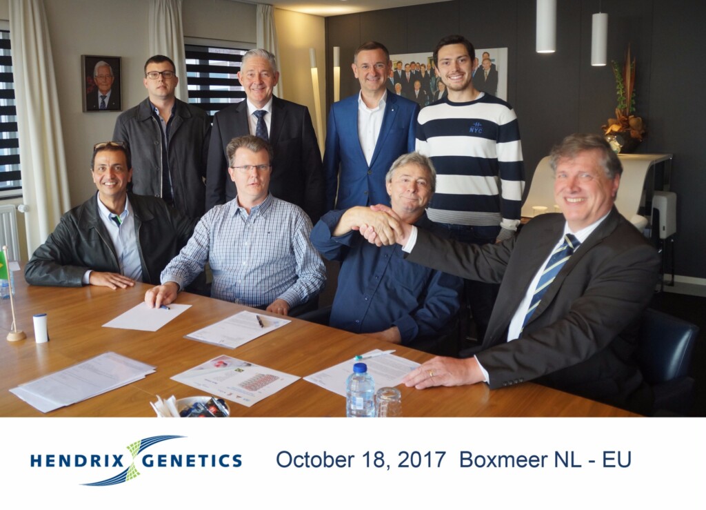 Hendrix Genetics e Mercoaves anunciam nova Joint Venture