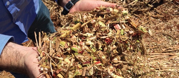 Mercado para biogás cresce no Brasil, mas distribuição ainda é obstáculo para escala