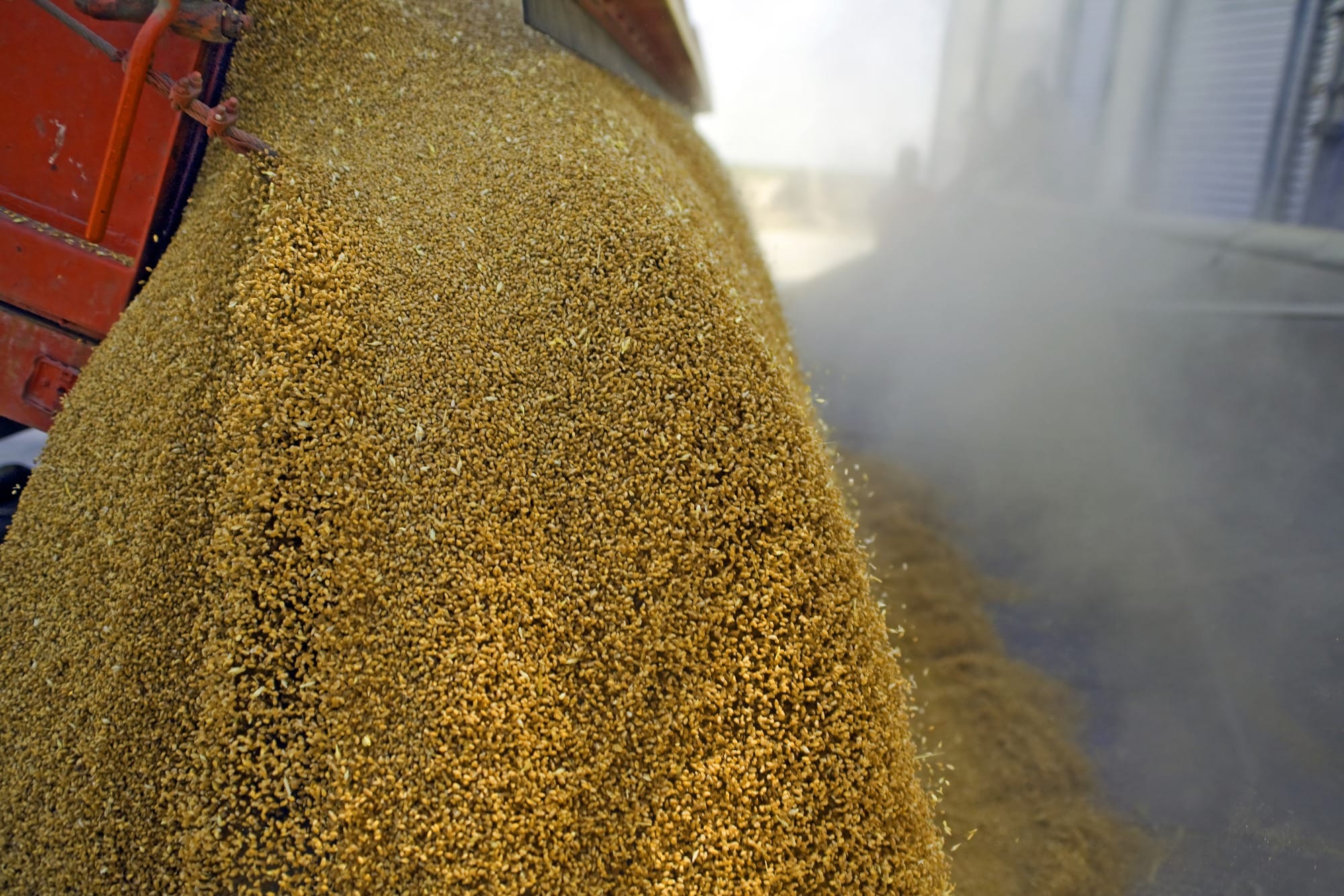 Exportações do agronegócio perdem atratividade, mas volume se mantém em alta