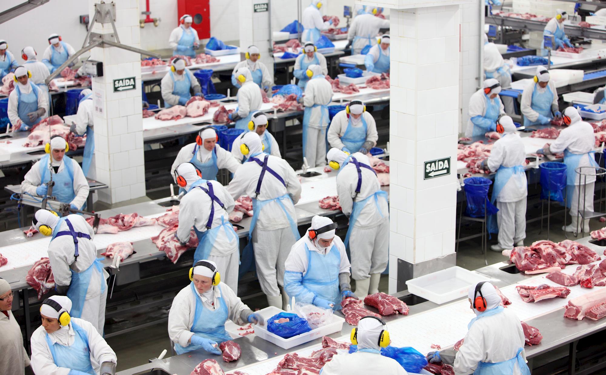 Cubanos estão no Brasil para inspecionar frigoríficos de carne de aves e suínos Cubanos estão no Brasil para inspecionar frigoríficos de carne de aves e suínos