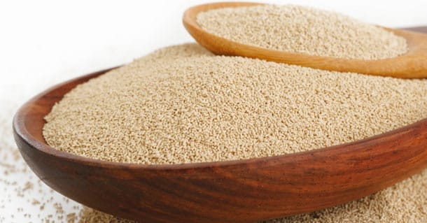 Fibra dietética e fermentação de proteínas no intestino de aves e suínos