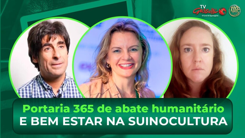 Live hoje sobre a Portaria 365 de abate humanitário