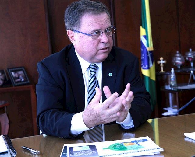 Plano Agropecuário deve atender produtores de aves prejudicados