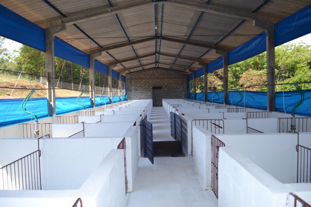 Centro experimental de pesquisas em nutrição de suínos é inaugurado em Londrina