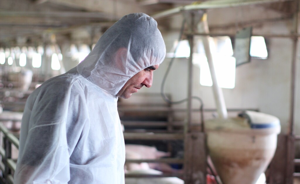 Mapa intensifica ações para retirada da vacinação contra aftosa na Região Norte